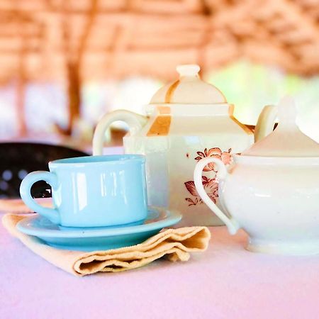 Eden Yala Hotel Екстериор снимка