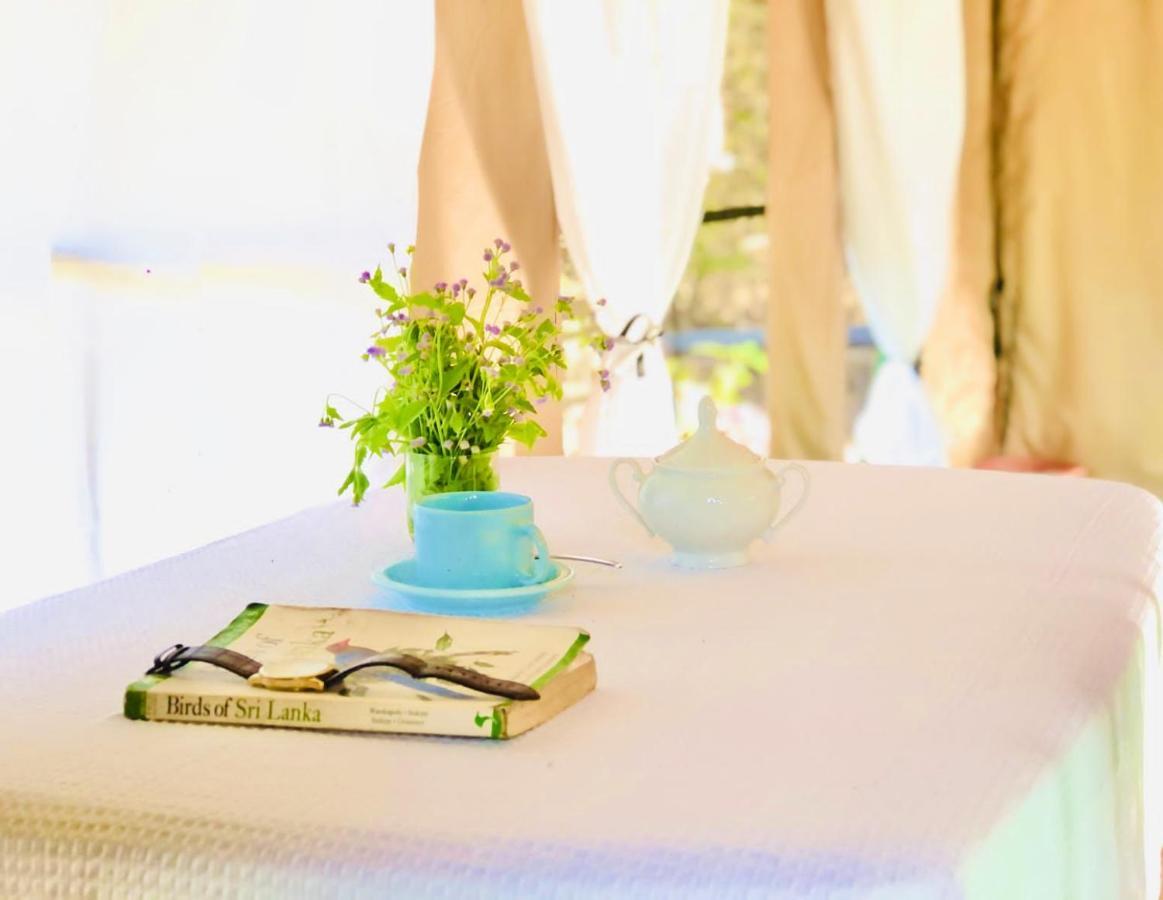 Eden Yala Hotel Екстериор снимка