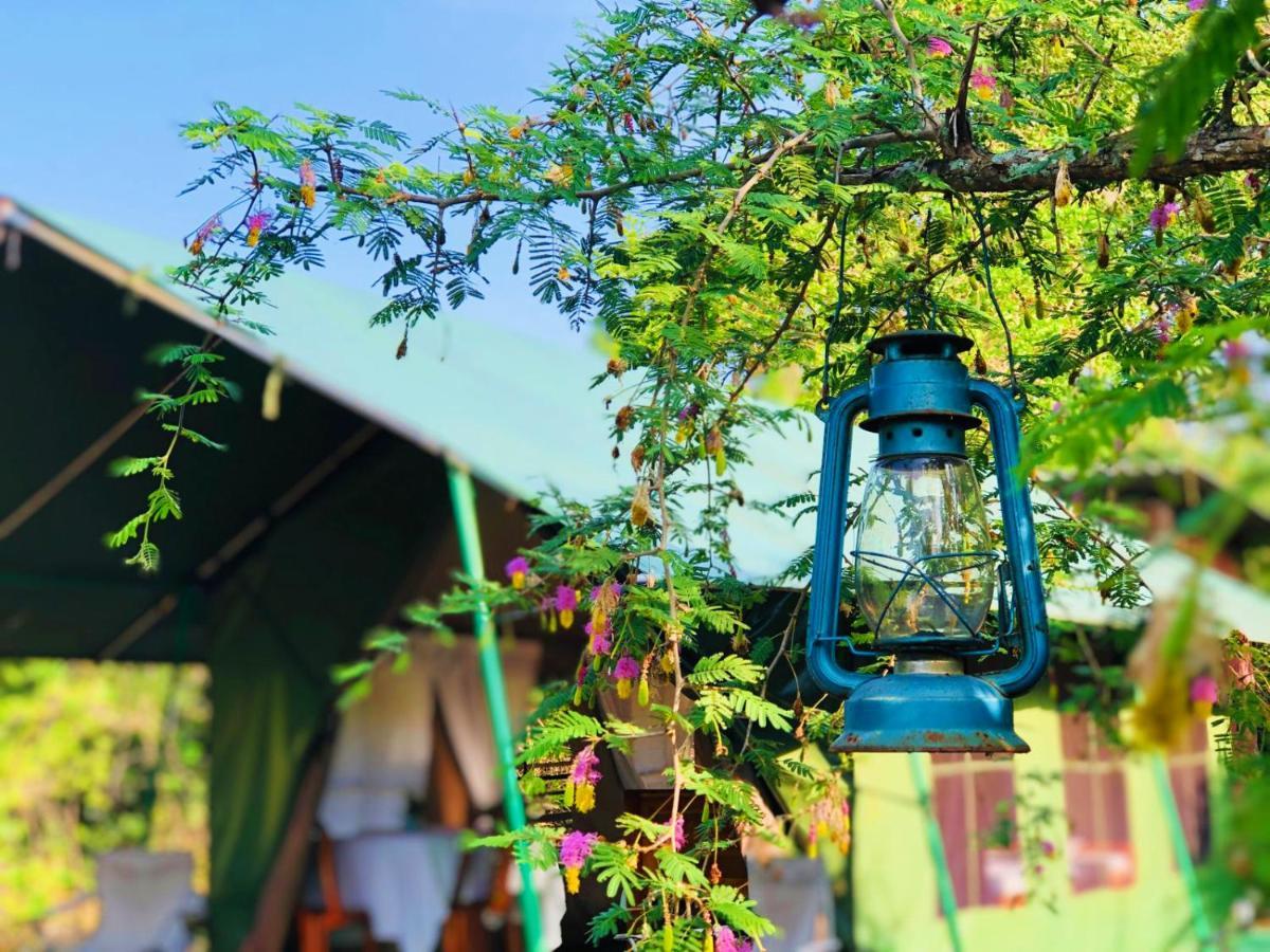 Eden Yala Hotel Екстериор снимка