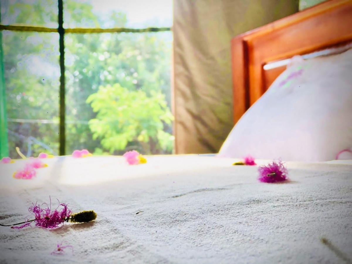 Eden Yala Hotel Екстериор снимка