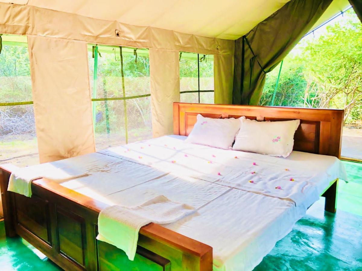 Eden Yala Hotel Екстериор снимка