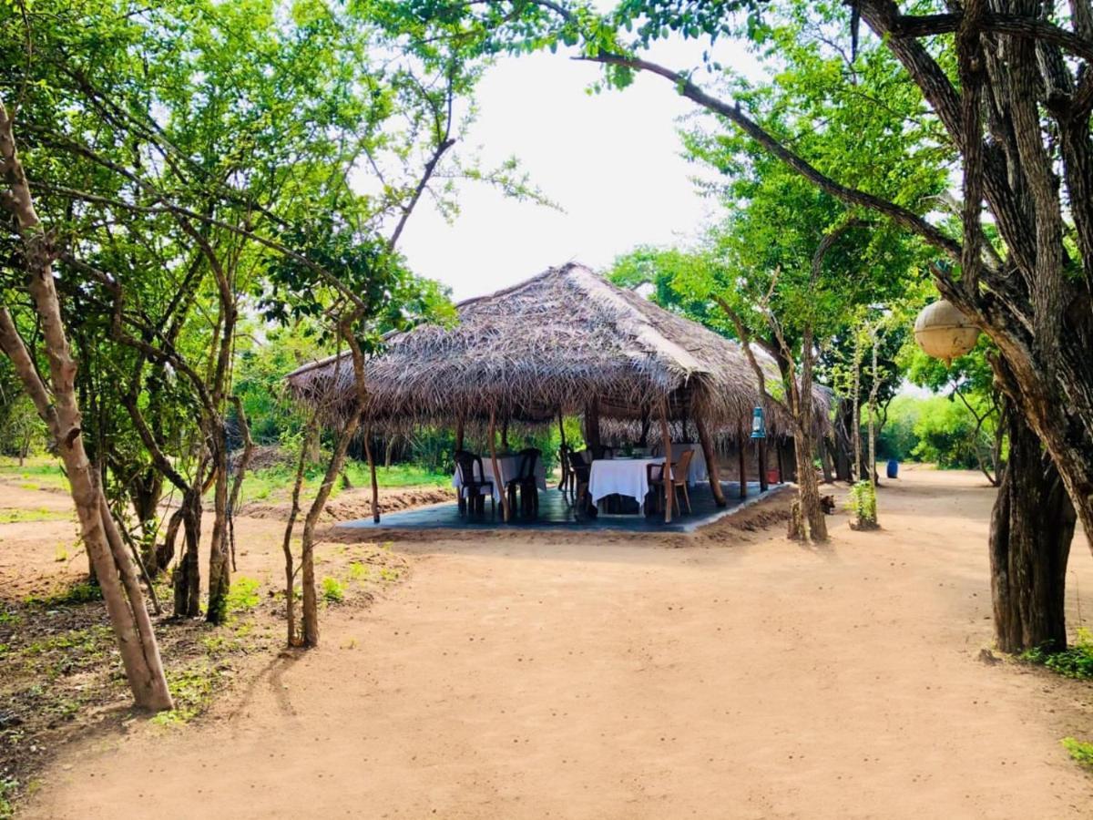 Eden Yala Hotel Екстериор снимка