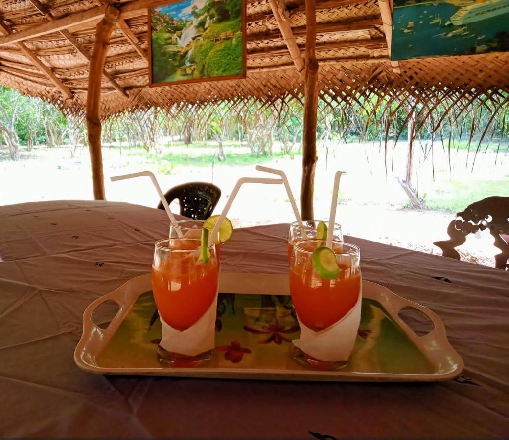 Eden Yala Hotel Екстериор снимка