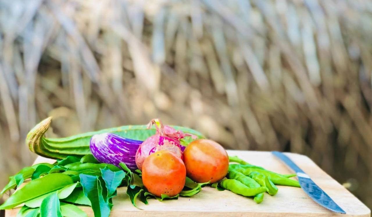 Eden Yala Hotel Екстериор снимка